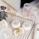 Everyday Bottle Care Guide: Can You Wash Bottles in the Dishwasher