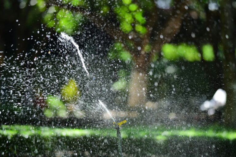 Easy Ways to Catch Sprinkler Problems Early